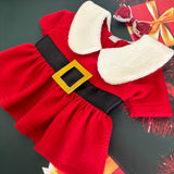 Ms. Santa Claus Winter Dress thumbnail