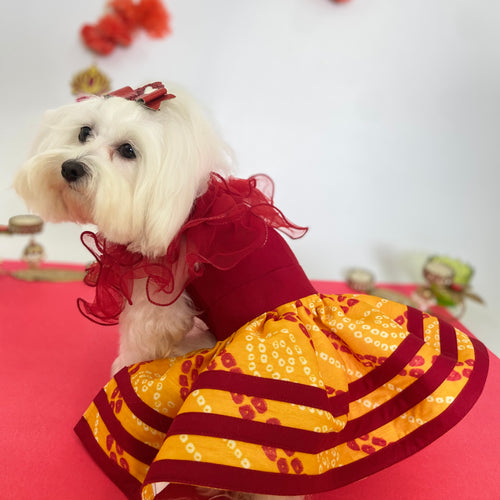 Ruffle Bandini Lehenga Choli