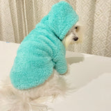 Snuggly Hoodie thumbnail