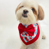 Love in the Air Bandana Coat Set thumbnail