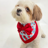 Love in the Air Bandana Coat Set thumbnail