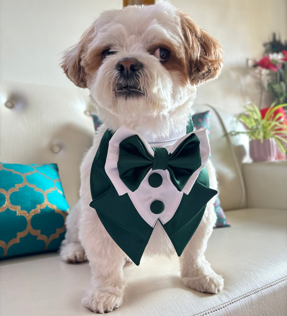 Custom Satin Tuxedo bandana