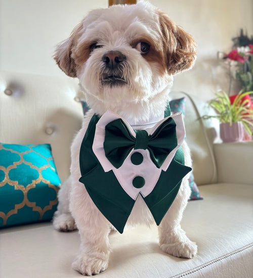 Custom Satin Tuxedo bandana