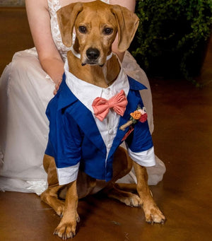 Wedding Tuxedo