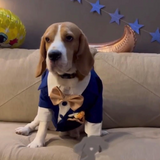 Wedding Tuxedo thumbnail