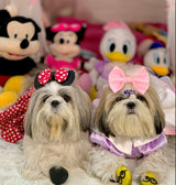 Daisy Duck Dress thumbnail