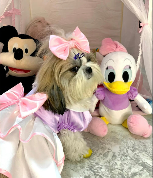 Daisy Duck Dress