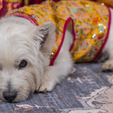Haldi Embroidered Sherwani thumbnail