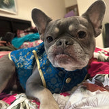 Teal Blue Sherwani thumbnail