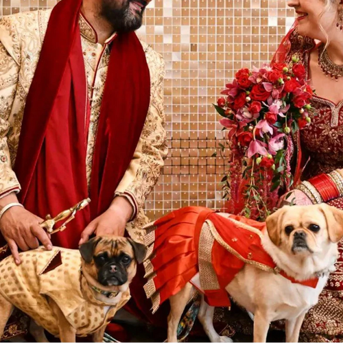 Bridal Red Saree