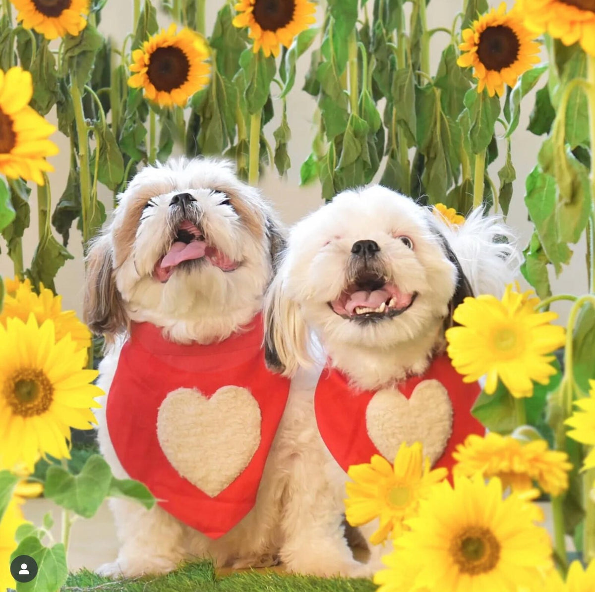 Fluffy Love Heart Reversible Bandana