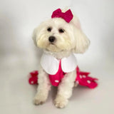 Barbie Girl Dress thumbnail