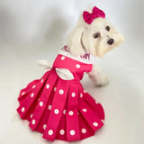 Barbie Girl Dress thumbnail