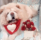 Fluffy Love Heart Reversible Bandana thumbnail