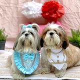 Cinderella & The Prince Halloween Costume Bandana thumbnail