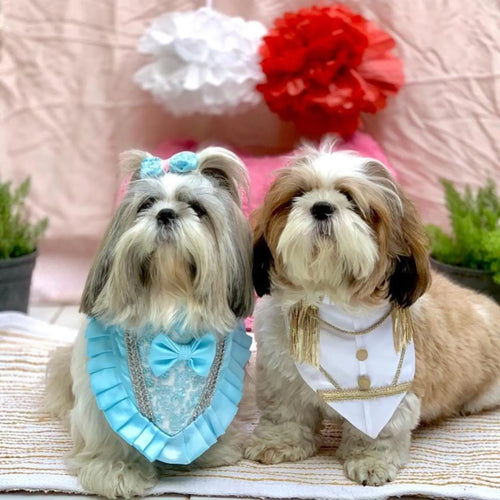 Cinderella & The Prince Halloween Costume Bandana