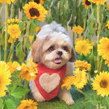 Fluffy Love Heart Reversible Bandana thumbnail