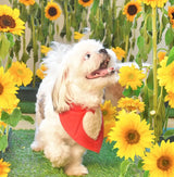 Fluffy Love Heart Reversible Bandana thumbnail