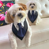 Necktie Office Bandana thumbnail