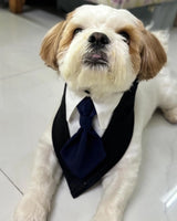 Necktie Office Bandana thumbnail