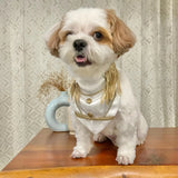 Cinderella & The Prince Halloween Costume Bandana thumbnail