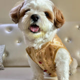 Cream & Gold Booti Sherwani thumbnail
