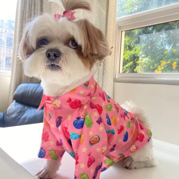 Cutie Candy Shirt