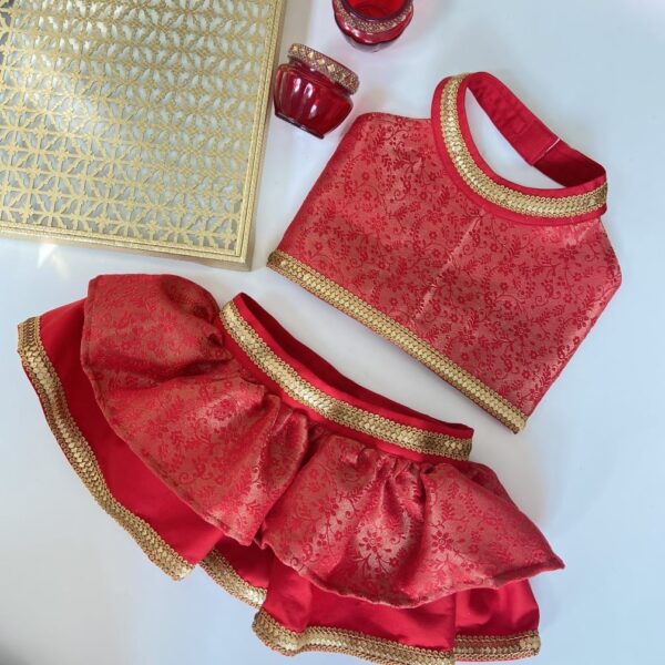 lehenga choli for dogs