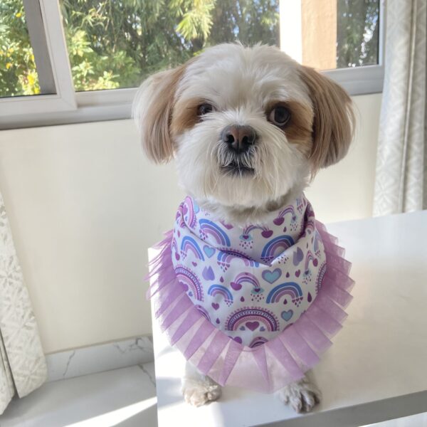 Ruffles Bandana