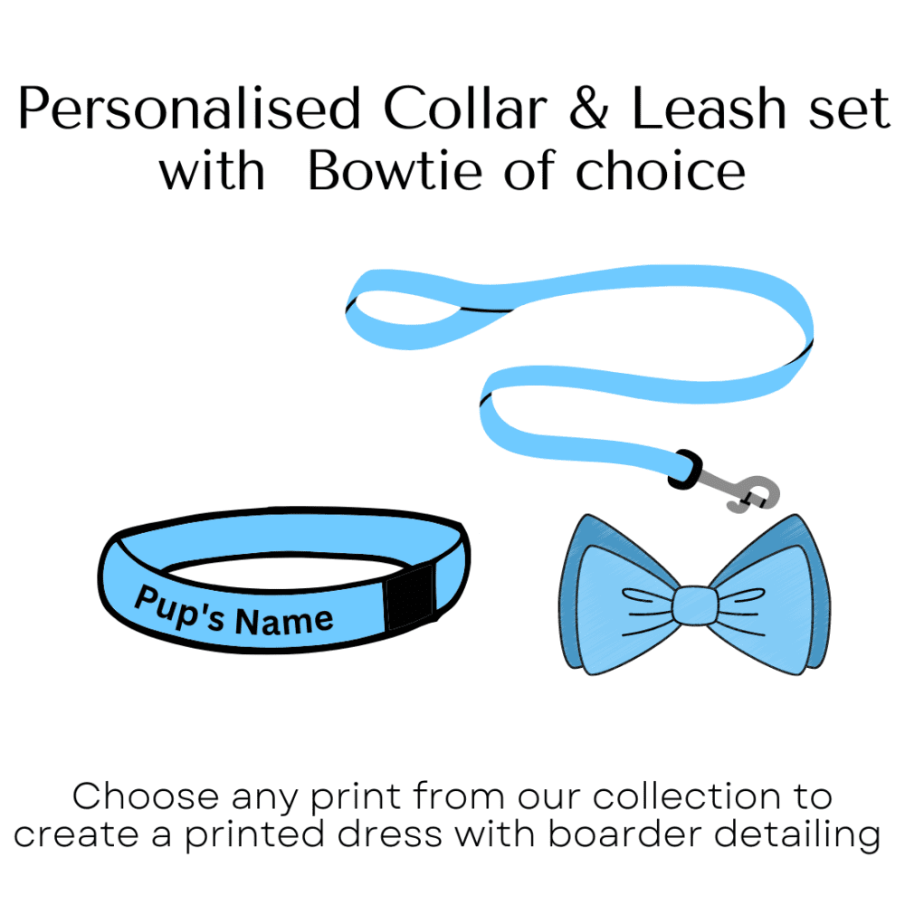 Personalised Collar and leash set