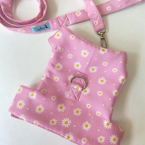 Pink Daisy harness & leash