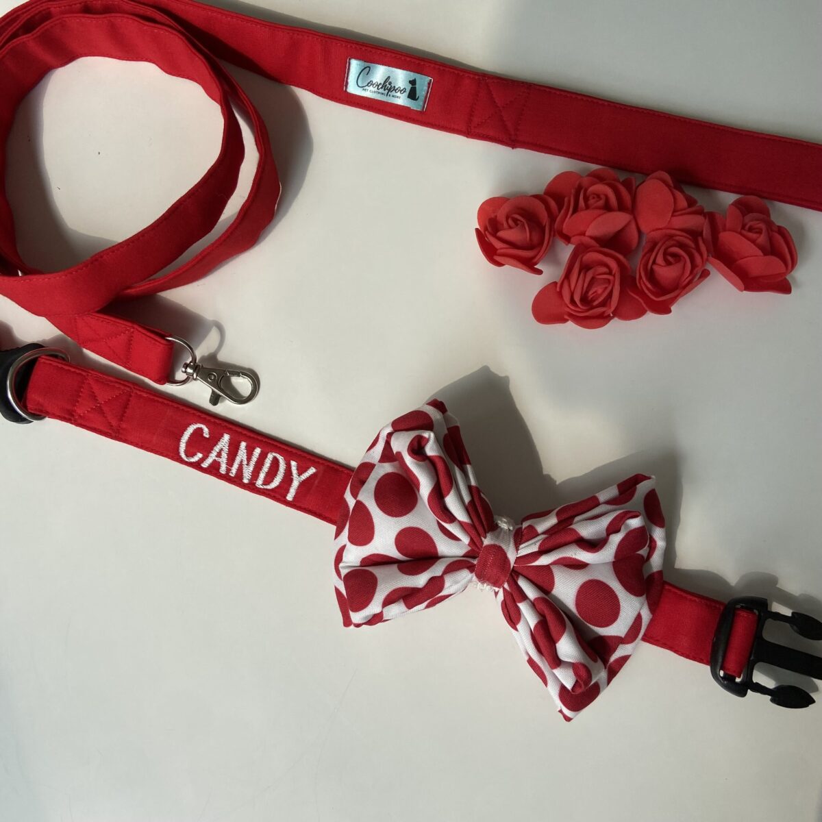 Leash & Collar set with Red Polka Bowtie