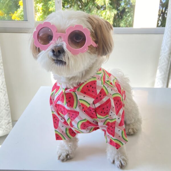 Magnificent Melon shirt