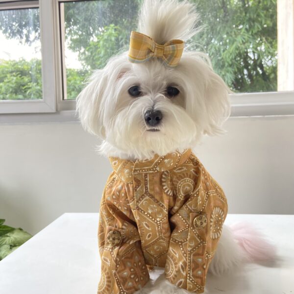 Kurta for Pets