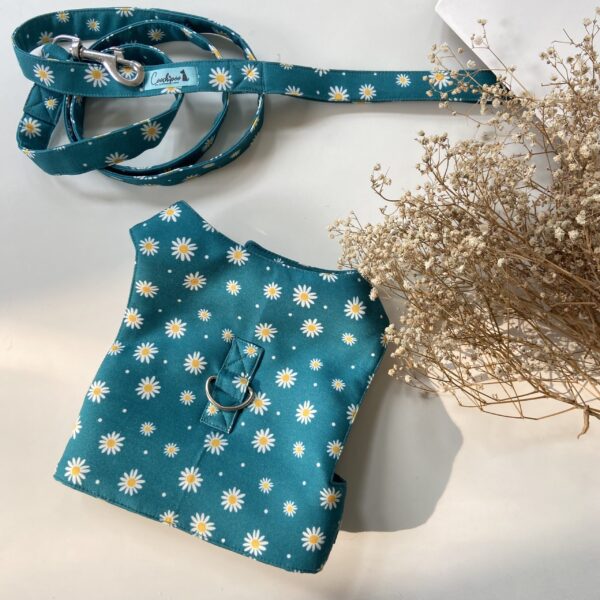 Teal Daisy harness & leash