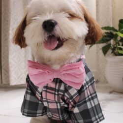 Grey Pink Plaid shirt