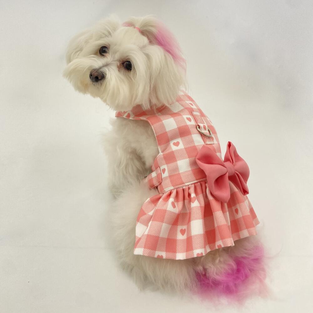 Baby Pink Love Checkered Harness with frills 1
