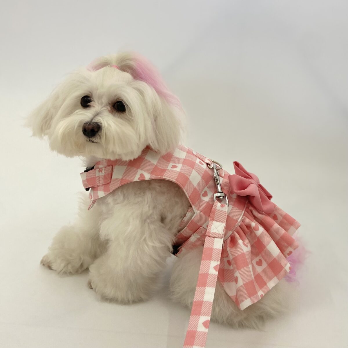 Baby Pink Love Checkered Harness with frills 2