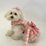 Baby Pink Love Checkered Harness with frills 2