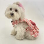 Baby Pink Love Checkered Harness with frills 5