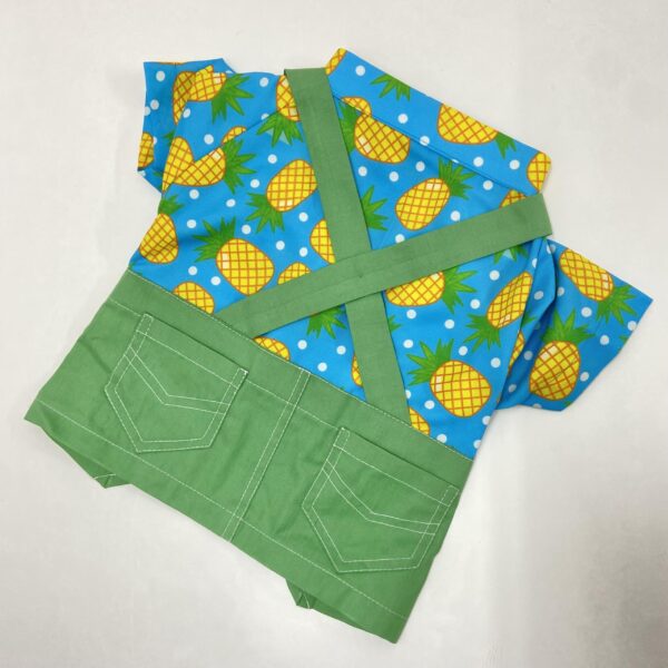 Braces shirts _ shorts Perky Pineapple 1