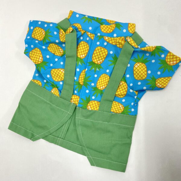 Braces shirts _ shorts Perky Pineapple 2