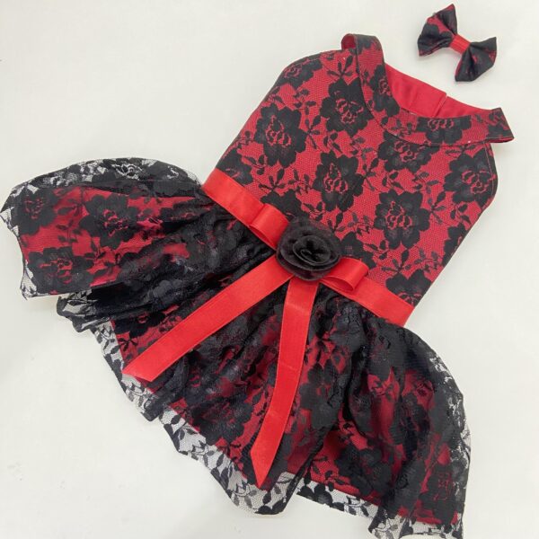 Cherry Beauty dress 1