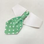 Glorious Green Necktie _ Collar 1