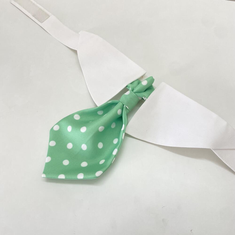 Glorious Green Necktie _ Collar 3