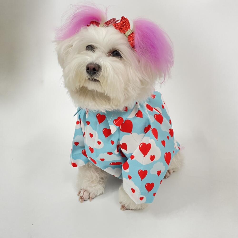 Love in the Air Shirt 2