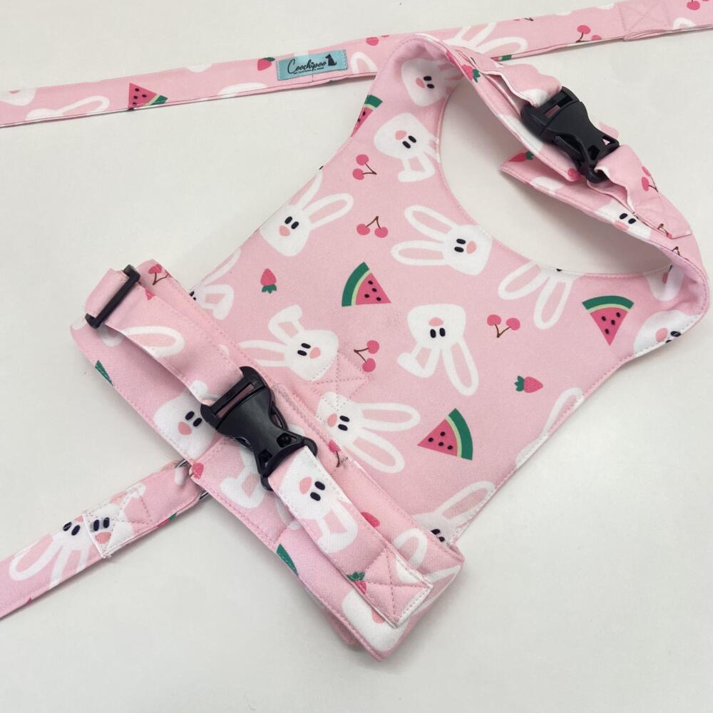Mellow Bunny Personalised Harness 2