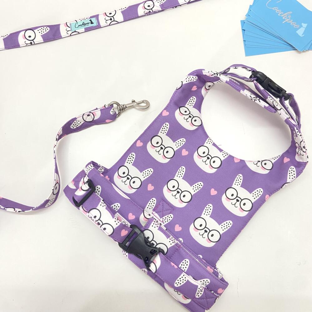 Nerdy Bunny Personalised Harness 3