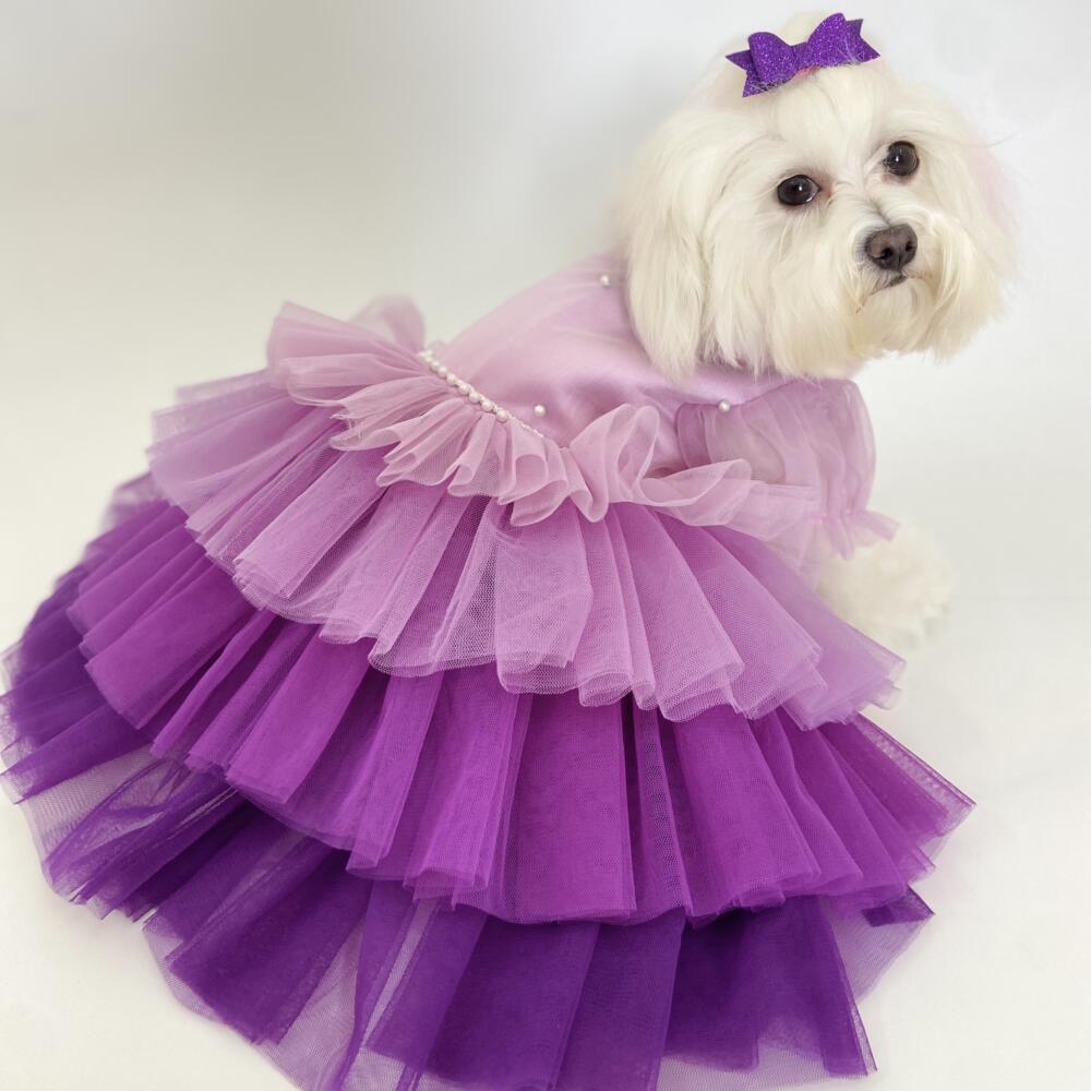 Ombré Dress Hues of Purple 1