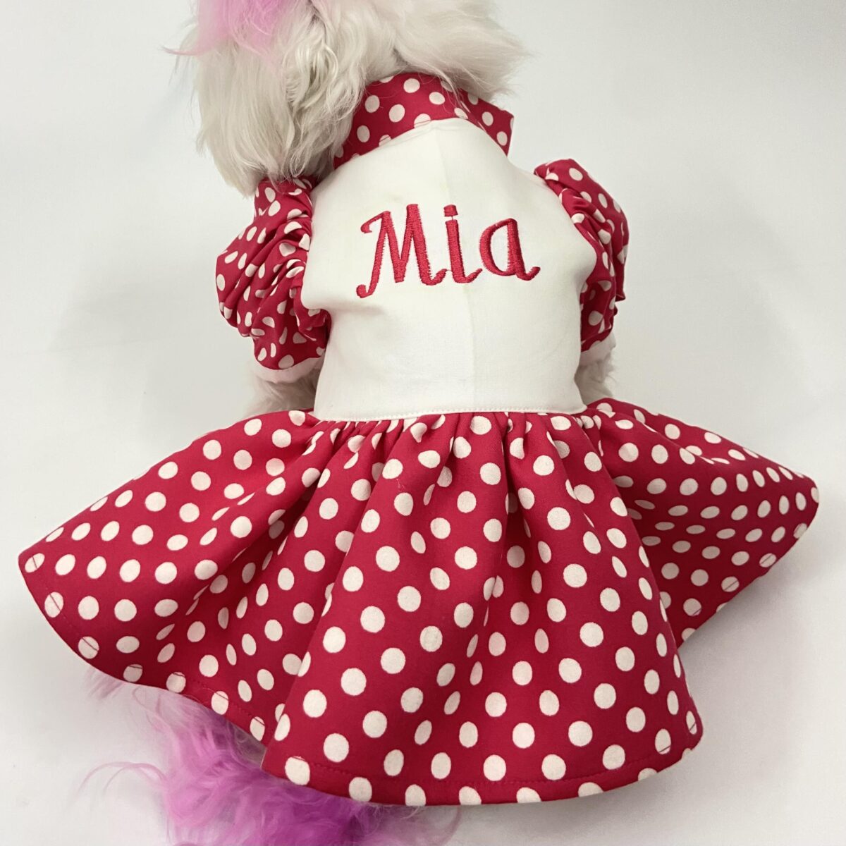Pawfect Personalised Dress 3